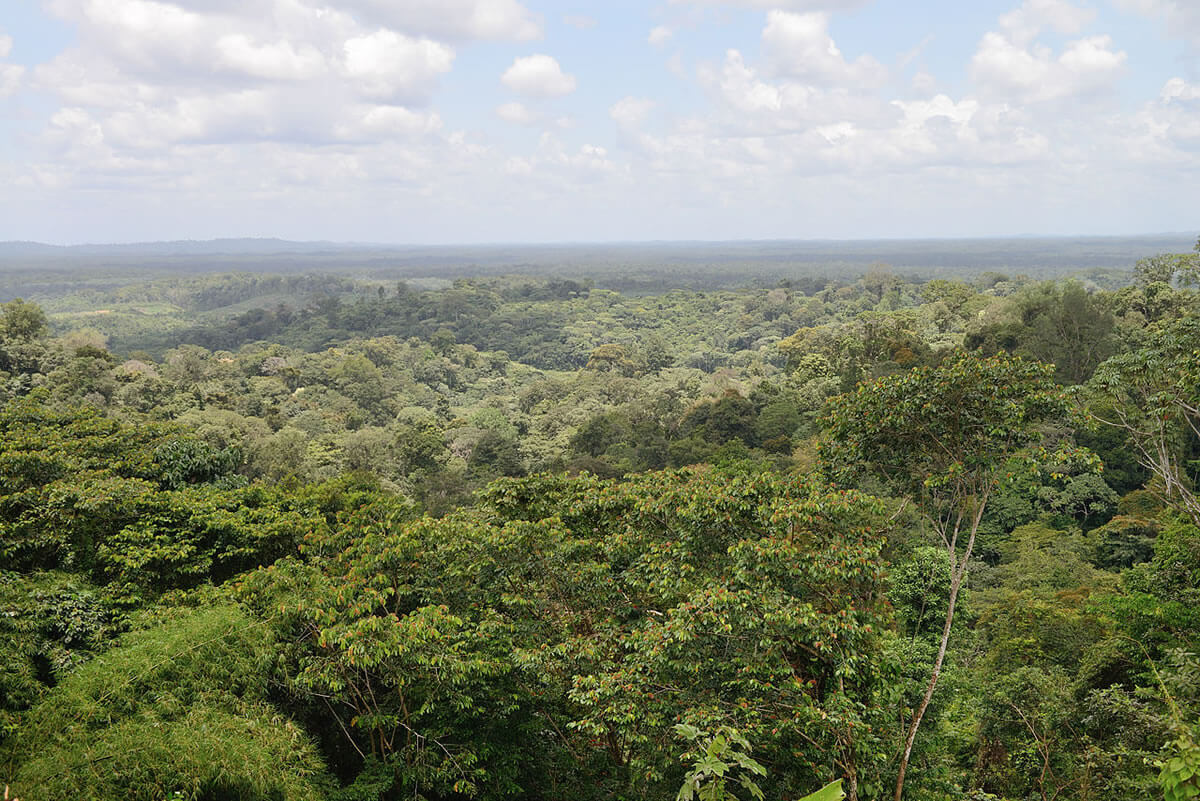 Guiana Amazonian Park A Jewel of Biodiversity & Cultural Heritage LAC Geo